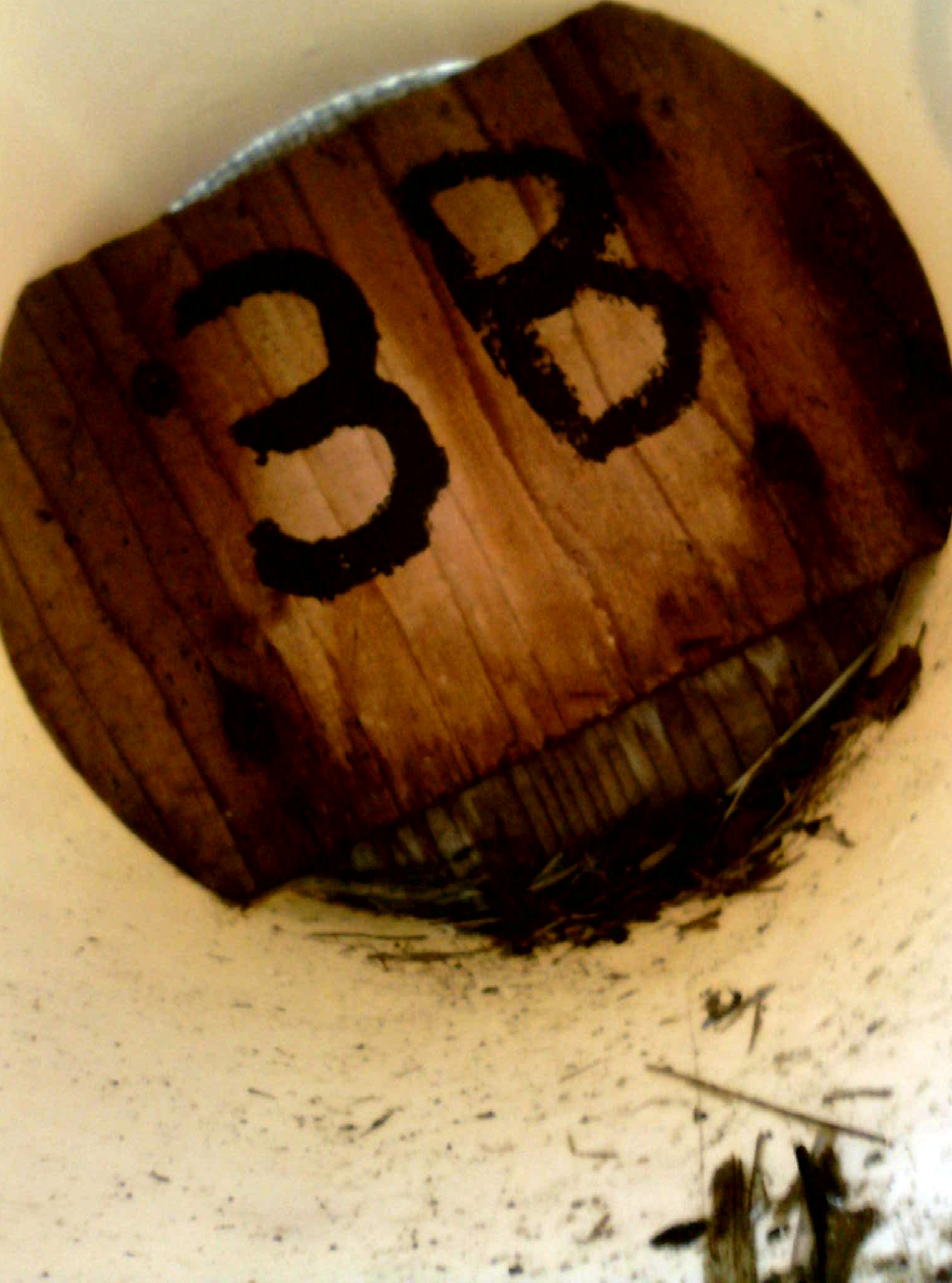 OPAS 3B